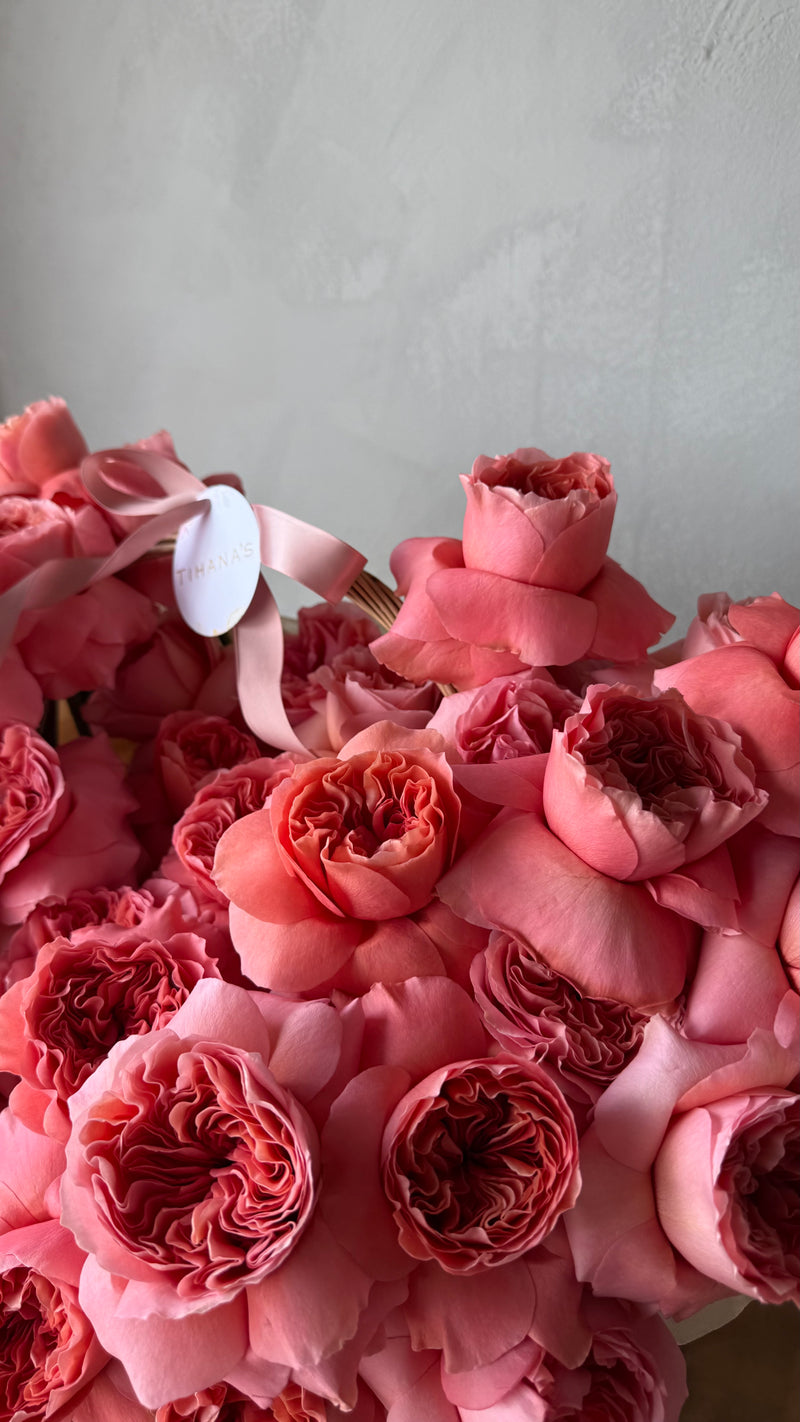 Pink Perfection