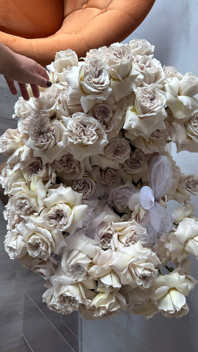 Grey Garden Rose Magic