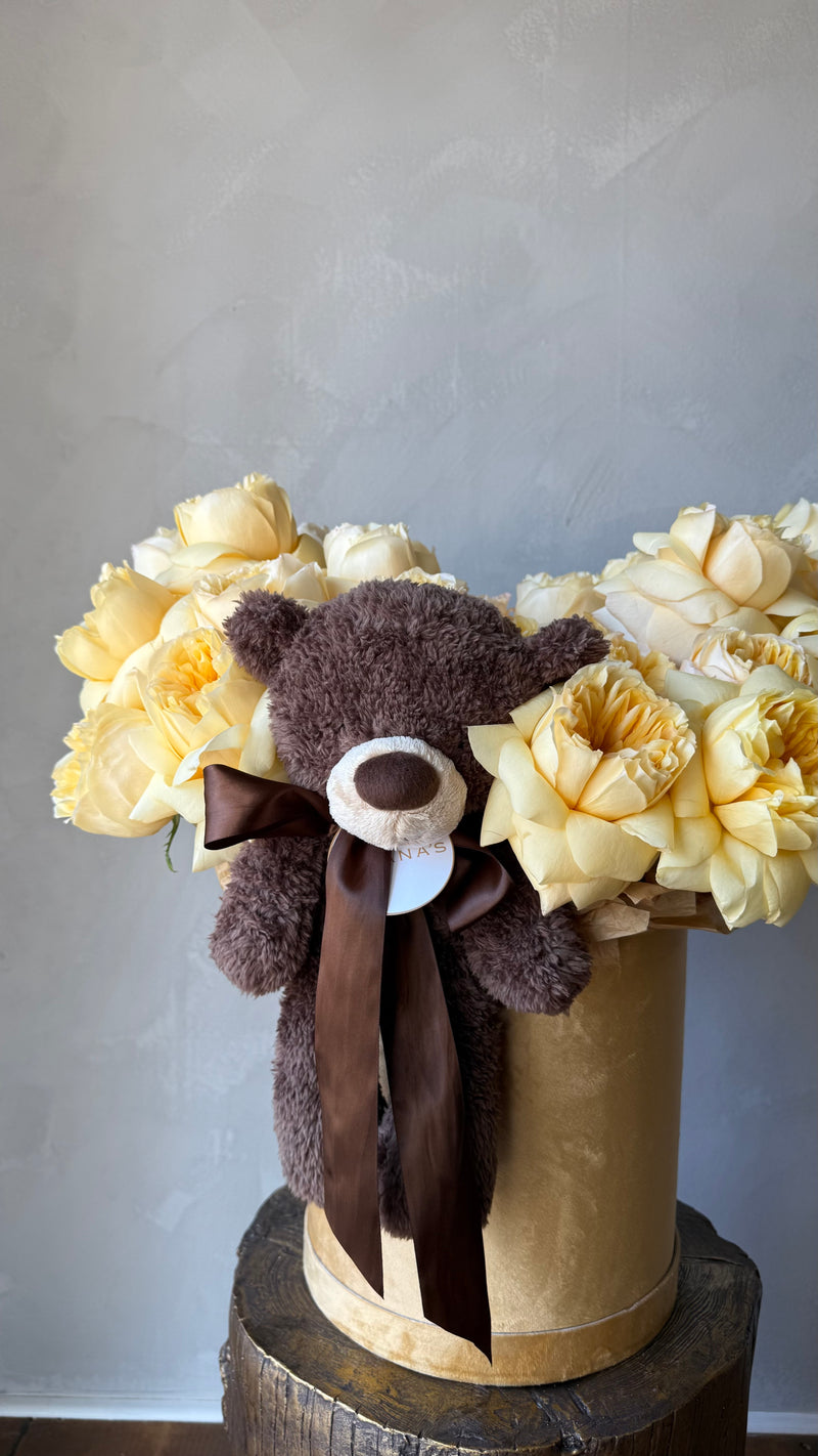 Honey Bear