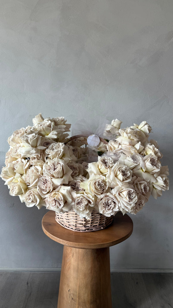 Grey Garden Rose Magic