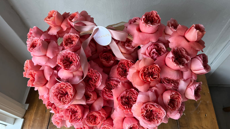 Pink Perfection