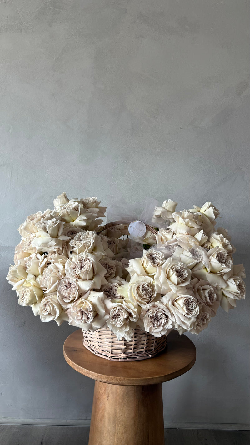 Grey Garden Rose Magic