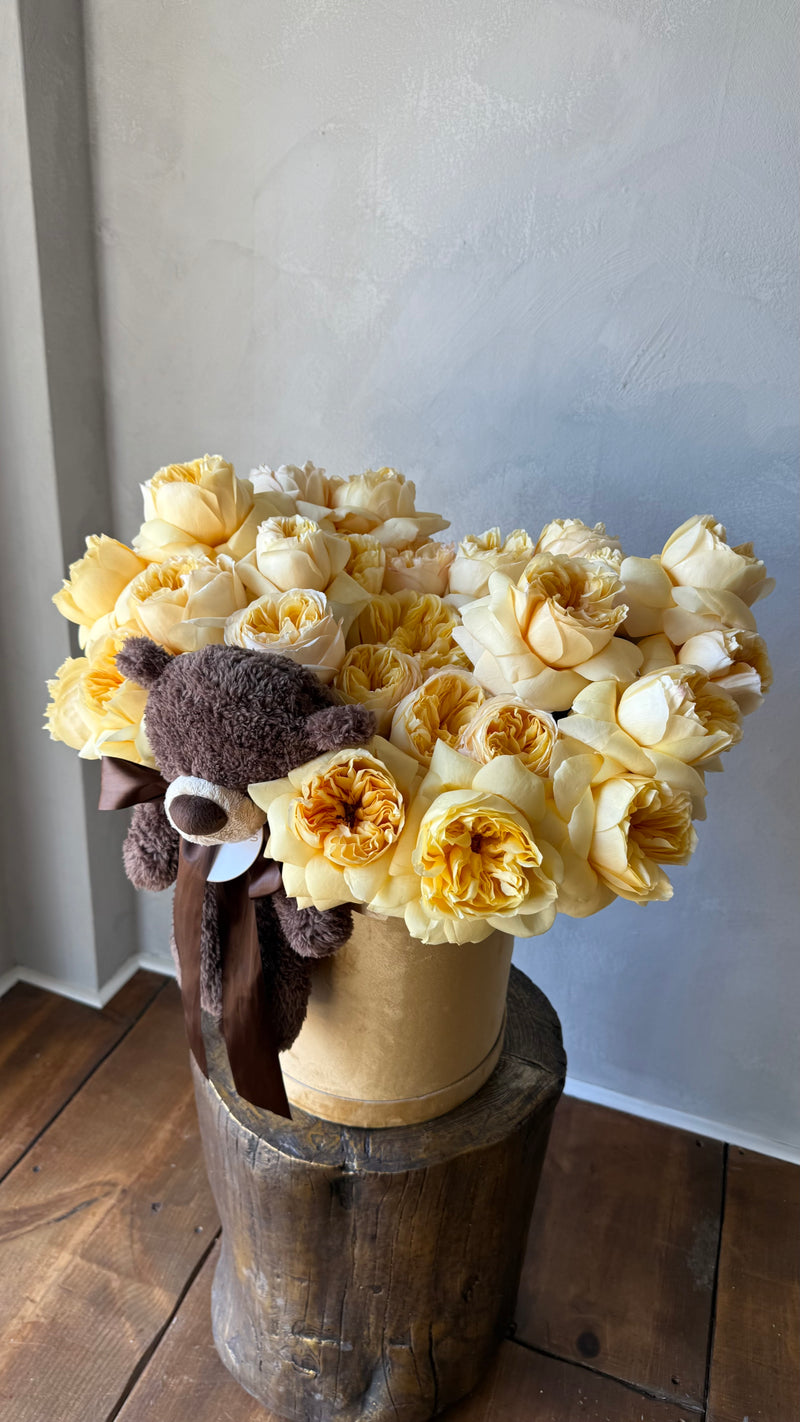 Honey Bear
