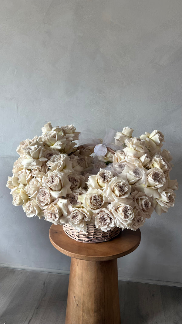 Grey Garden Rose Magic