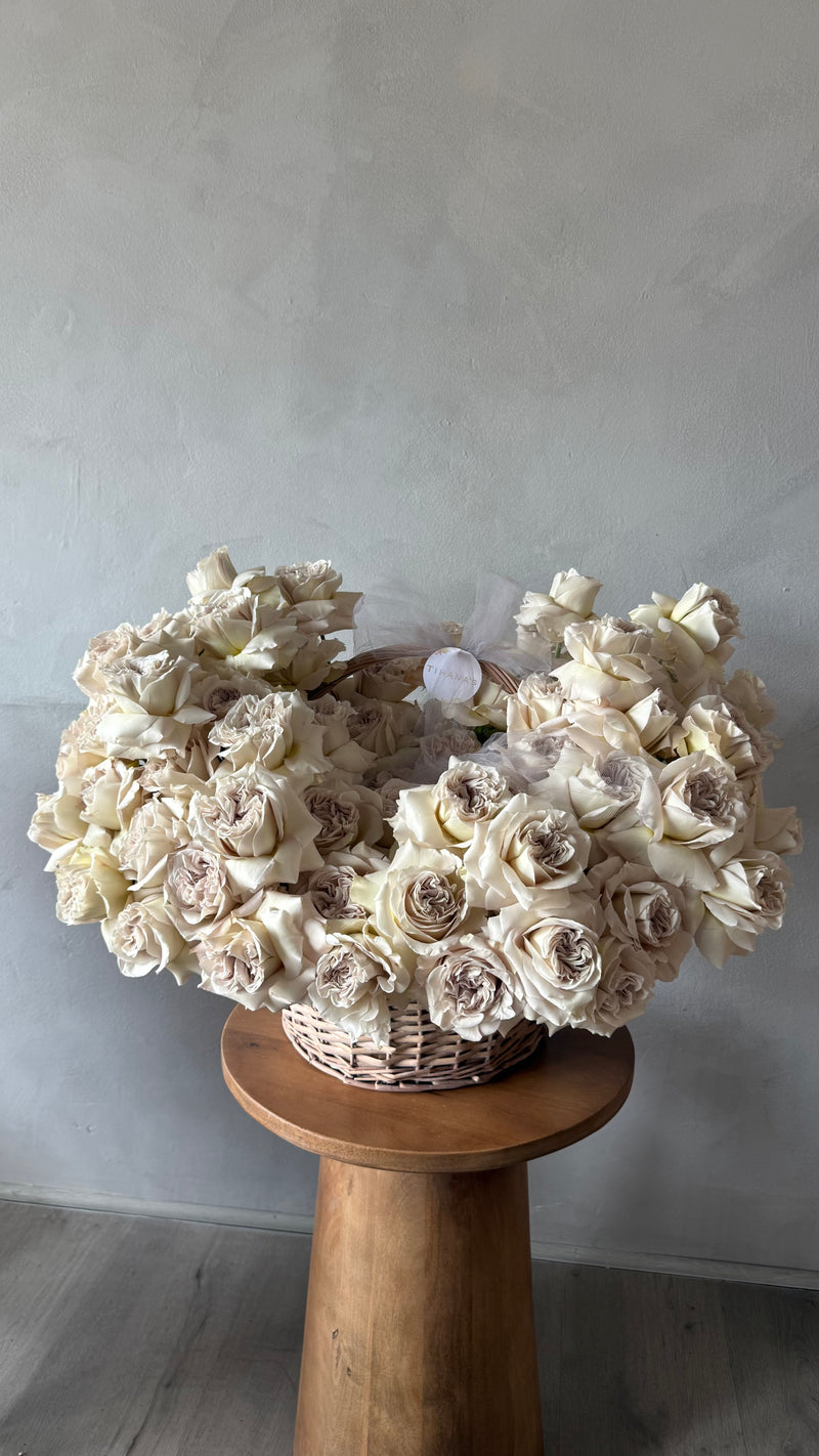 Grey Garden Rose Magic