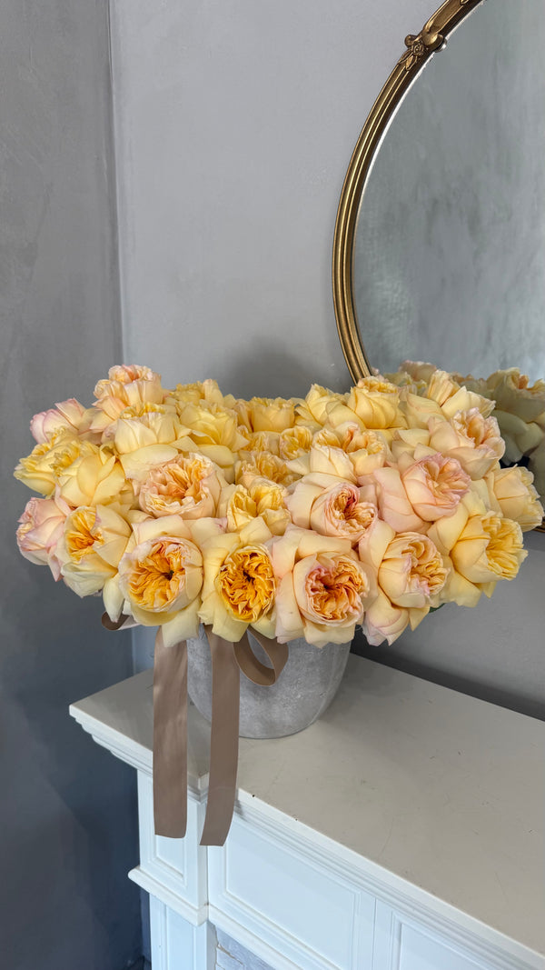 Peach in Stone